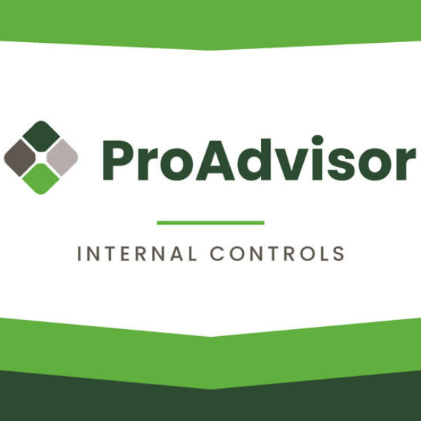 Pro Advisor | Internal Controls – 30 Minutes