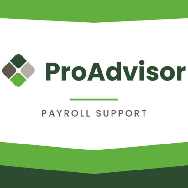 Pro Advisor | Payroll Support – 30 Minutes