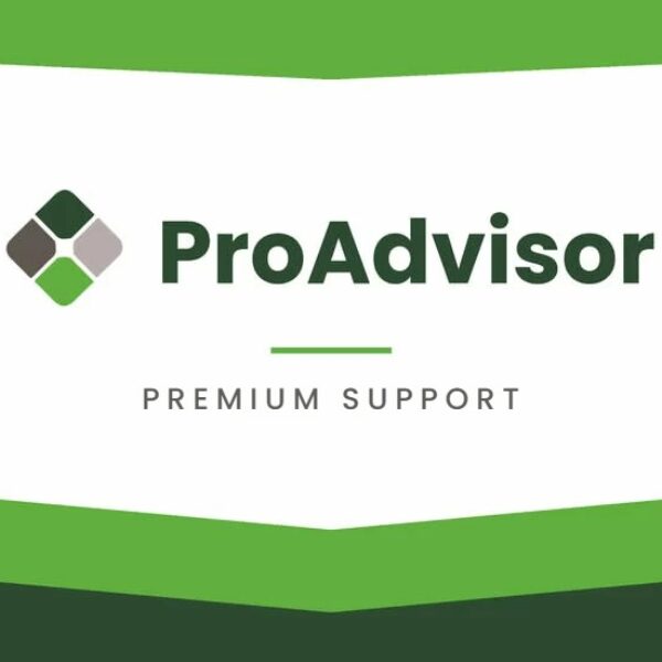Pro Advisor | Premium Support – 60 Minutes