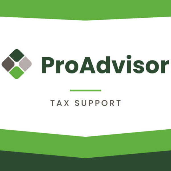 Pro Advisor | Tax Support – 30 Minutes